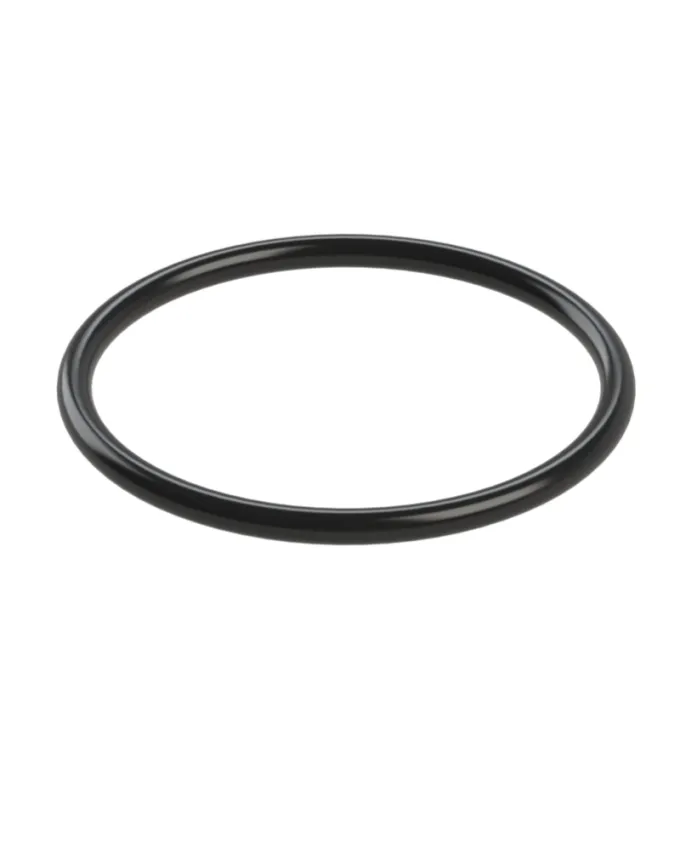 Anel O'Ring 22,5 (10un)